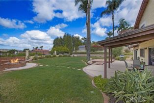 Single Family Residence, 31871 Via Montura, San Juan Capistrano, CA 92675 - 4