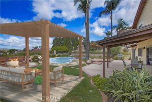 Single Family Residence, 31871 Via Montura, San Juan Capistrano, CA 92675 - 5