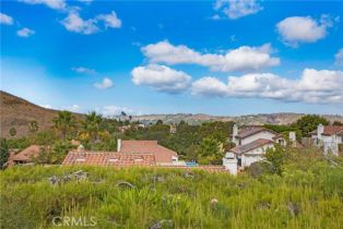 Single Family Residence, 31871 Via Montura, San Juan Capistrano, CA 92675 - 7