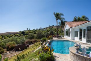 Single Family Residence, 3610 Monserate Hill ct, Fallbrook, CA 92028 - 37