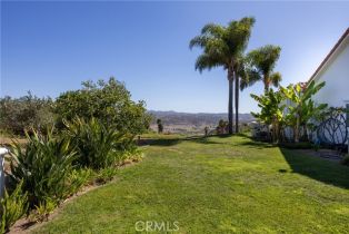 Single Family Residence, 3610 Monserate Hill ct, Fallbrook, CA 92028 - 45