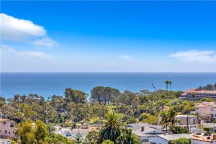 Single Family Residence, 33921 Calle La Primavera, Dana Point, CA 92629 - 21