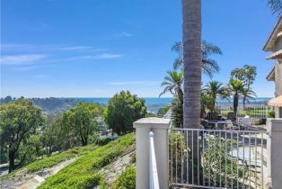 Single Family Residence, 1503 Avenida De Nogales, San Clemente, CA 92672 - 36