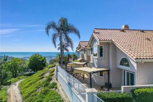 Single Family Residence, 1503 Avenida De Nogales, San Clemente, CA 92672 - 37