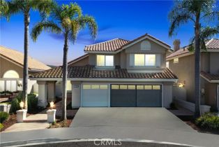 Single Family Residence, 1503 Avenida De Nogales, San Clemente, CA  San Clemente, CA 92672