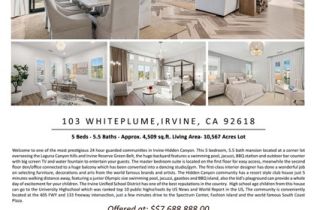 Single Family Residence, 103 Whiteplume, Irvine, CA 92618 - 2