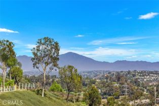 Single Family Residence, 26582 Meadow Crest drive, Laguna Hills, CA 92653 - 57