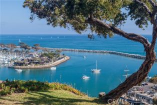 Single Family Residence, 57 Palm Beach ct, Dana Point, CA 92629 - 13