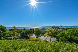 Single Family Residence, 64 Archipelago dr, Newport Coast, CA 92657 - 42