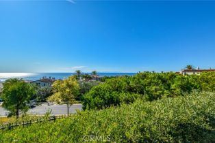 Single Family Residence, 64 Archipelago dr, Newport Coast, CA 92657 - 43