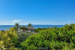 Single Family Residence, 64 Archipelago dr, Newport Coast, CA 92657 - 44