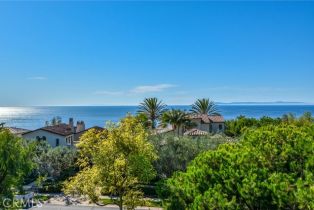 Single Family Residence, 64 Archipelago dr, Newport Coast, CA 92657 - 45