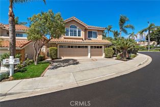 Single Family Residence, 1201 Via Visalia, San Clemente, CA 92672 - 36