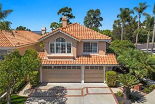 Single Family Residence, 1201 Via Visalia, San Clemente, CA 92672 - 39