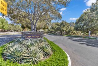 Single Family Residence, 10 Altimira, Coto De Caza, CA 92679 - 27