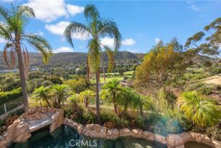 Single Family Residence, 45 South Peak, Laguna Niguel, CA 92677 - 18