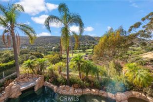 Single Family Residence, 45 South Peak, Laguna Niguel, CA 92677 - 23