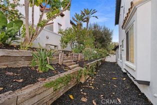 Single Family Residence, 27 Altimira, Coto De Caza, CA 92679 - 40