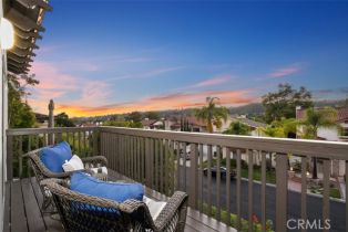 Single Family Residence, 27 Altimira, Coto De Caza, CA 92679 - 43