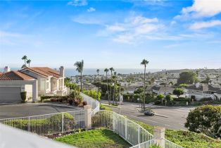 Single Family Residence, 24816 Sea Crest dr, Dana Point, CA 92629 - 37