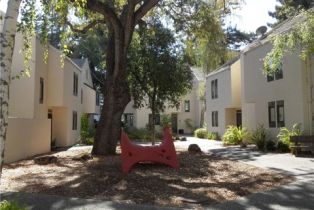 Condominium, 181 Centre st, Mountain View, CA 94041 - 42