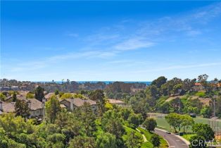 Single Family Residence, 49 Poppy Hills rd, Laguna Niguel, CA 92677 - 57