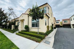 Condominium, 147 Quiet Grove, Irvine, CA 92618 - 27