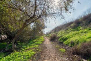 Condominium, 19541 Sardinia ln, Huntington Beach, CA 92646 - 30