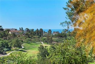 Single Family Residence, 53 Calle Careyes, San Clemente, CA 92673 - 57