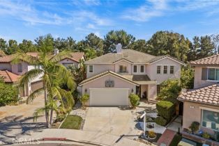 Single Family Residence, 6 Henna, Irvine, CA 92618 - 39