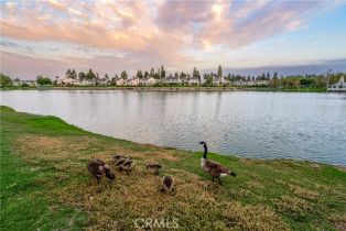 Single Family Residence, 17 FALLBROOK, Irvine, CA 92604 - 27