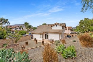 Single Family Residence, 30011 Imperial dr, San Juan Capistrano, CA 92675 - 29