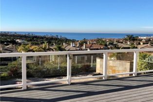 Single Family Residence, 25 Ville Franche, Dana Point, CA 92629 - 41