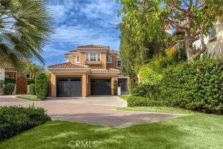 Single Family Residence, 16 Coral Reef, Newport Coast, CA 92657 - 2