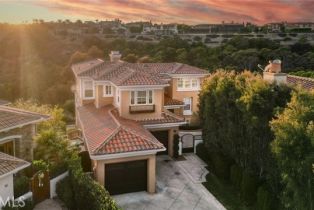 Single Family Residence, 16 Coral Reef, Newport Coast, CA 92657 - 28