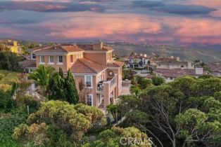 Single Family Residence, 16 Coral Reef, Newport Coast, CA 92657 - 29