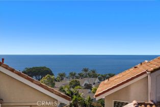 Single Family Residence, 3 New York ct, Dana Point, CA 92629 - 39