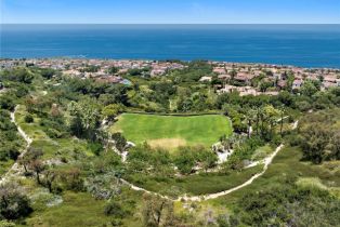 Single Family Residence, 22 Scenic Bluff, Newport Coast, CA 92657 - 54