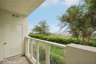 Condominium, 30902 Clubhouse dr, Laguna Niguel, CA 92677 - 23