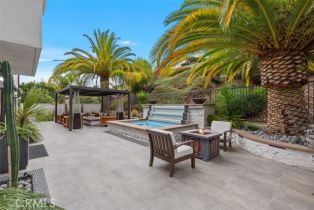 Single Family Residence, 12 Via Monarca st, Dana Point, CA 92629 - 21