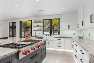 Single Family Residence, 12 Via Monarca st, Dana Point, CA 92629 - 9