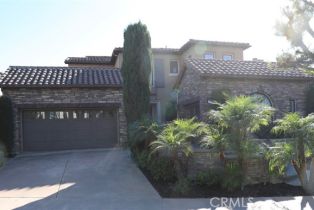 Single Family Residence, 8 Venezia, Newport Coast, CA  Newport Coast, CA 92657