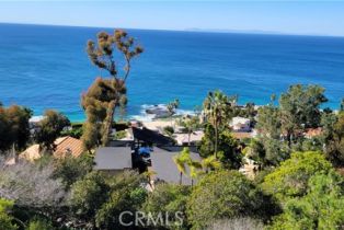 Residential Lease, 31311 Ceanothus DR, Laguna Beach, CA  Laguna Beach, CA 92651