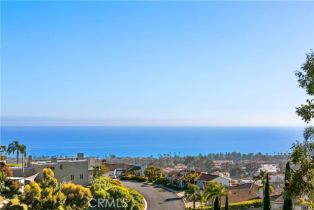 Single Family Residence, 53 Marbella, San Clemente, CA 92673 - 40