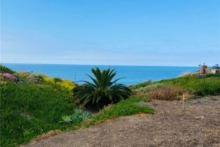 Land, 35295 Camino Capistrano, Dana Point, CA  Dana Point, CA 92624