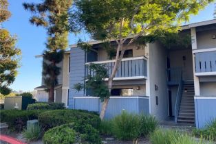 Residential Lease, 25611 Quail RUN, Dana Point, CA  Dana Point, CA 92629