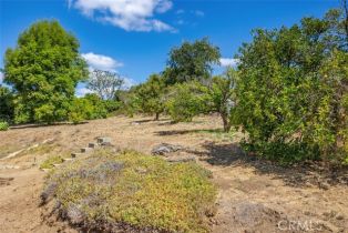 Single Family Residence, 2406 Gum Tree ln, Fallbrook, CA 92028 - 27