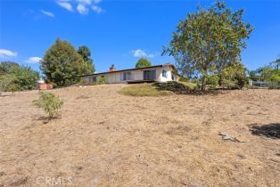 Single Family Residence, 2406 Gum Tree ln, Fallbrook, CA 92028 - 28