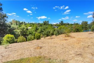 Single Family Residence, 2406 Gum Tree ln, Fallbrook, CA 92028 - 31