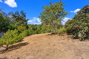 Single Family Residence, 2406 Gum Tree ln, Fallbrook, CA 92028 - 32